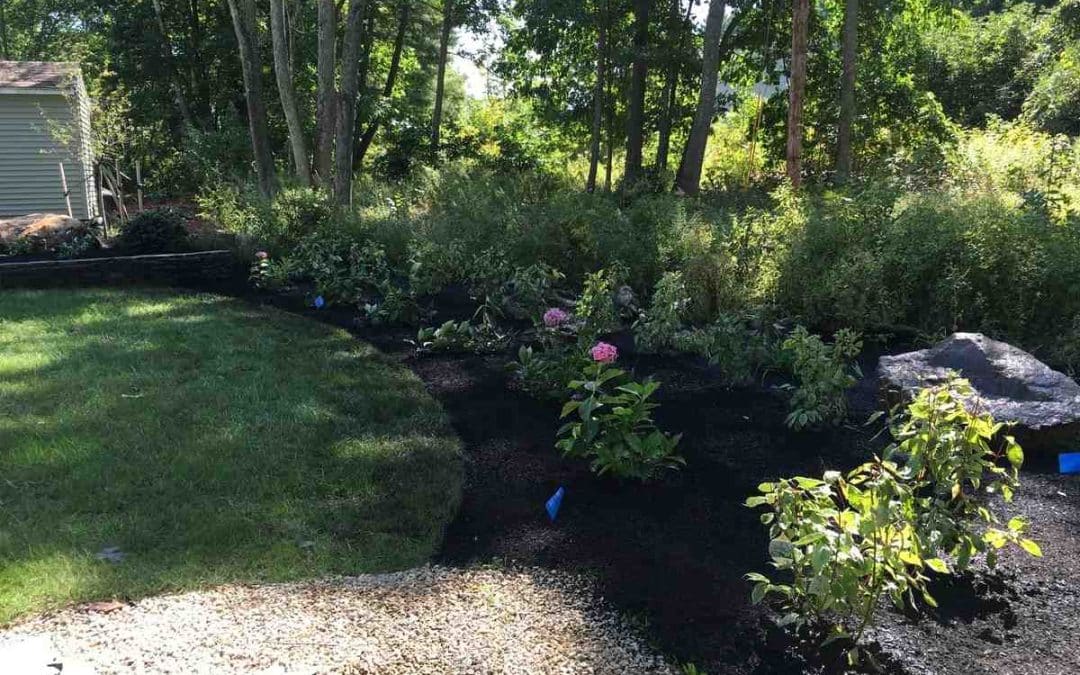 hardscape and landscape companies near me