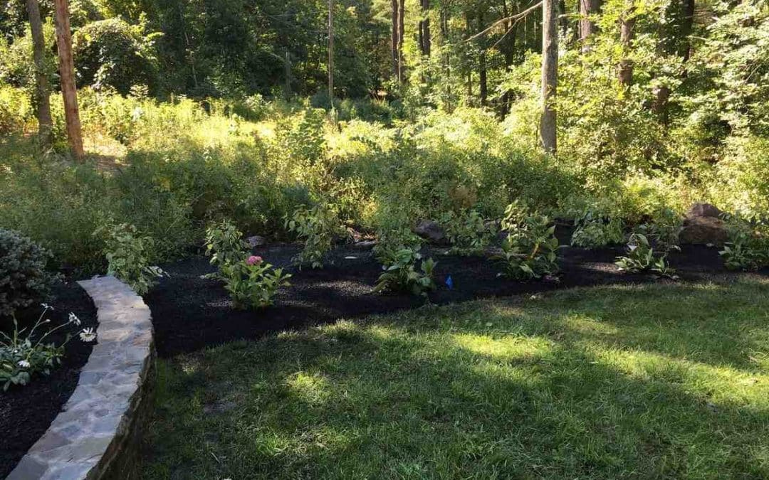 landscape design methuen ma