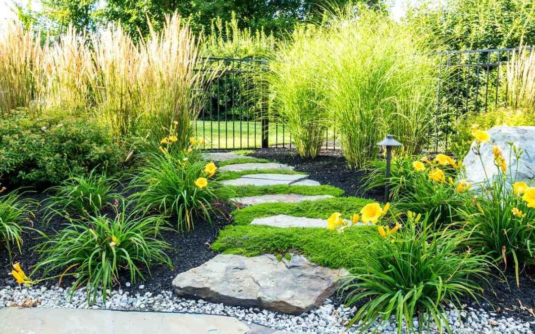 Why Your Yard Needs a Glow Up: Unpacking Landscape Lighting Benefits