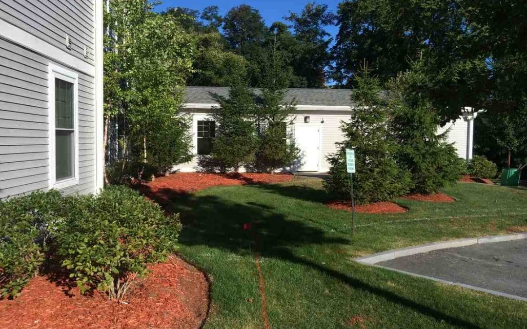 landscape design Massachusetts