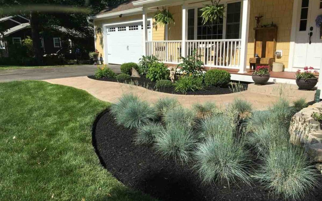 Quality Yard Care: A Guide to Not Having the Ugliest Lawn on the Block