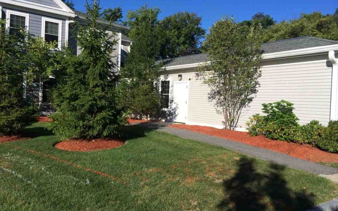 Lawn care Georgetown