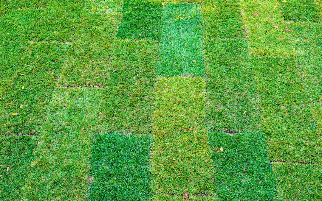sod installation cost per square foot