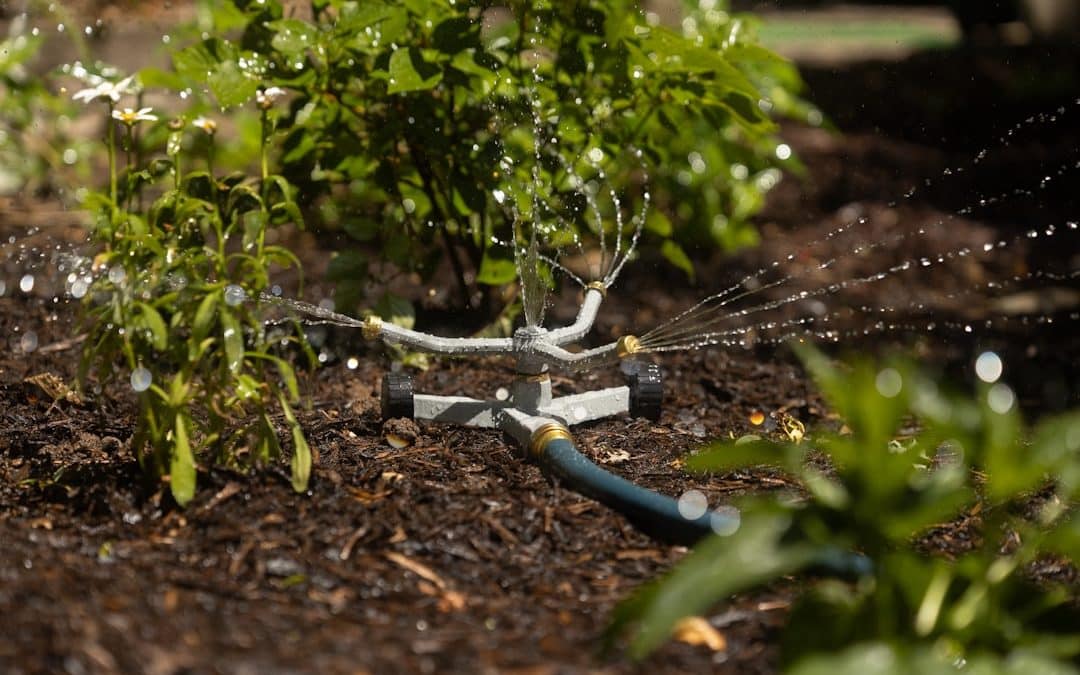 auto watering system for plants