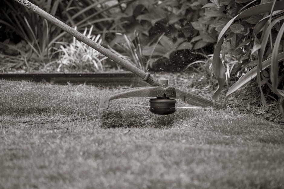 jones ground maintenance