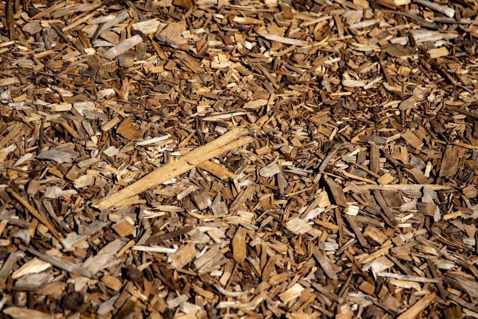 Eco-Friendly Garden Mulch: Best Sustainable Options and What to Avoid