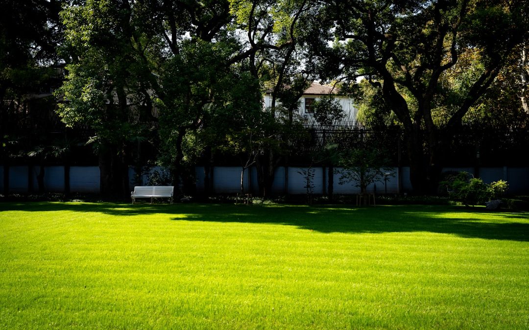 How Much to Sod a Backyard Without Breaking the Bank