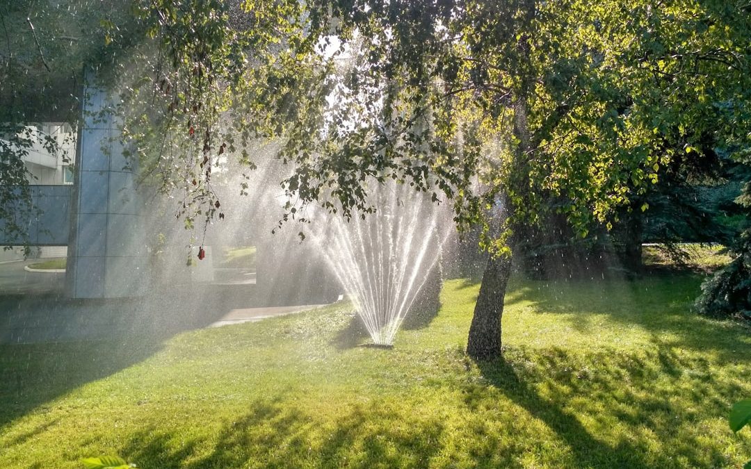 In Depth Guide to Garden Sprinkler Systems