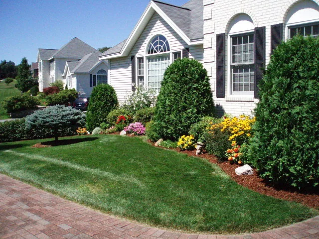 Front yard with mowed lawn, mulched beds of evergreen shrubs and yellow and pink flowers beside a house