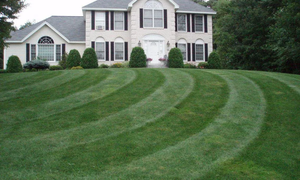 Front lawn mowed in curved stripes sloping up to a two-story house with shrubs along the foundation