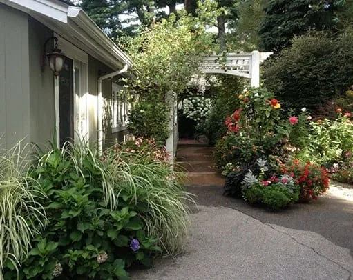 Paved driveway beside a house with ornamental grasses, flowering planters and a white arbor over a walkway
